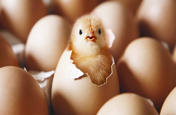 10 dấu hiệu sắp chuyển dạ và sắp đến ngày sinh của bé